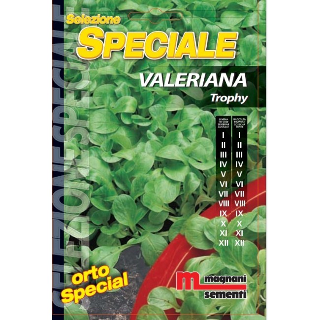 Semi di Valeriana Trophy