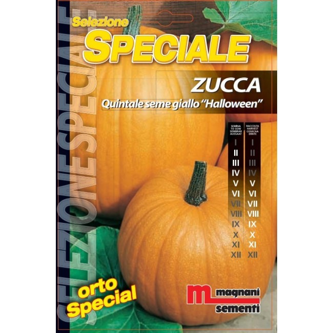 Semi di Zucca Halloween