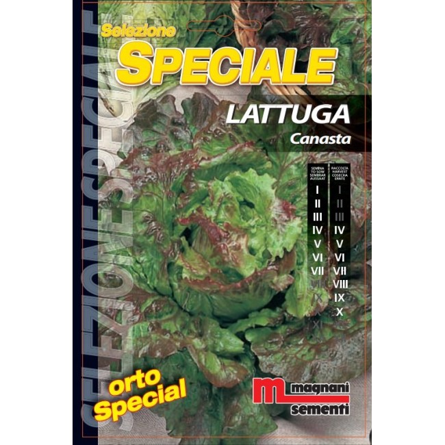 Semi Lattuga Canasta