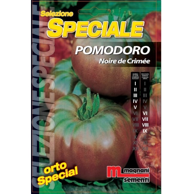 Semi Pomodoro Noire de Crimee