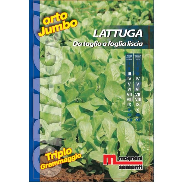 Semi di Lattuga da Taglio a Foglia Liscia Orto Jumbo