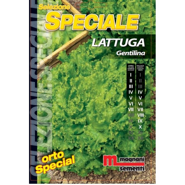 Semi di Lattuga Gentilina
