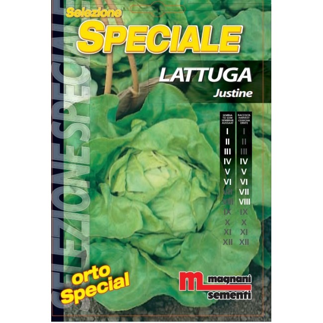 Semi di Lattuga Justine