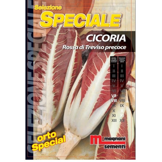 Semi di Cicoria Rossa di Treviso