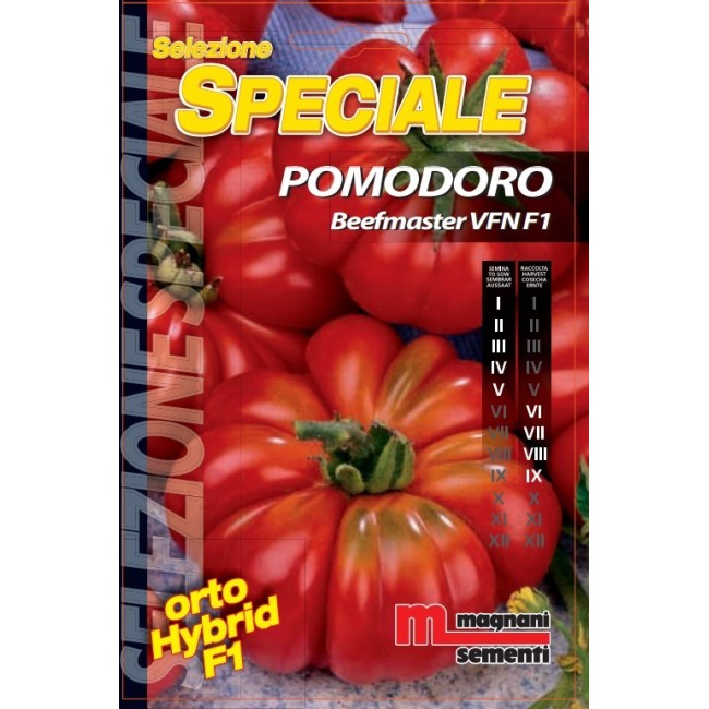 Semi di Pomodoro Beefmaster
