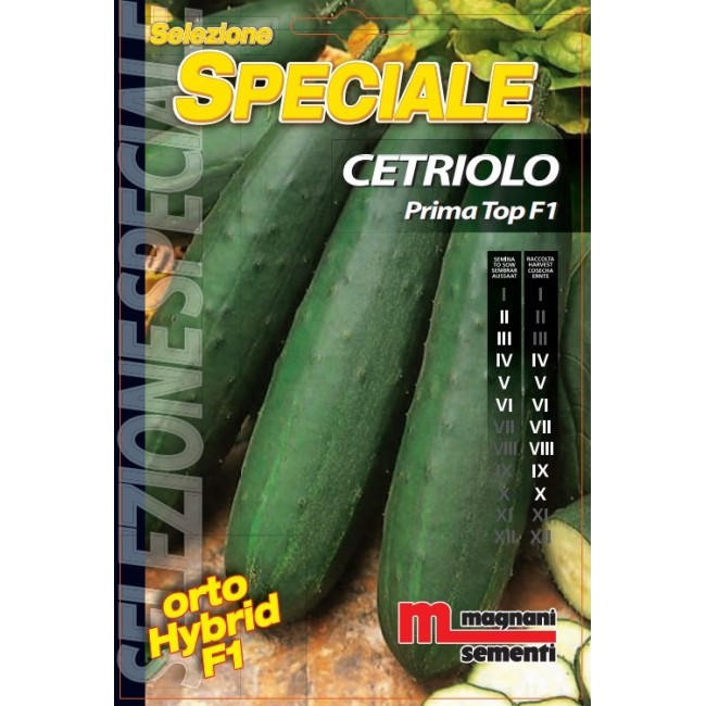 Semi di Cetriolo Prima Top