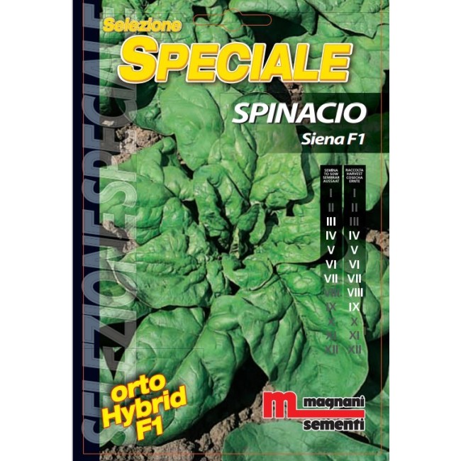 Semi di Spinacio Siena