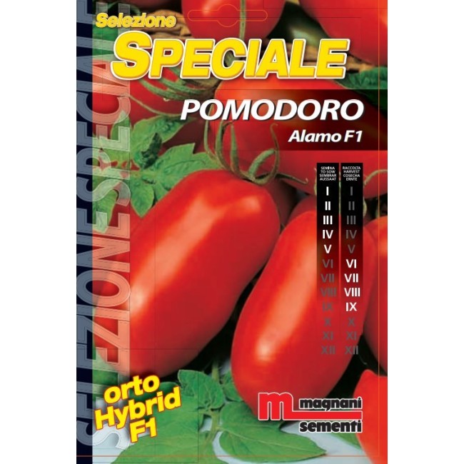 Semi di Pomodoro Alamo