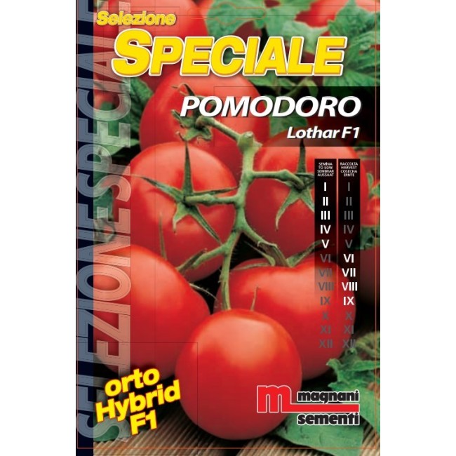 Semi di Pomodoro Lothar