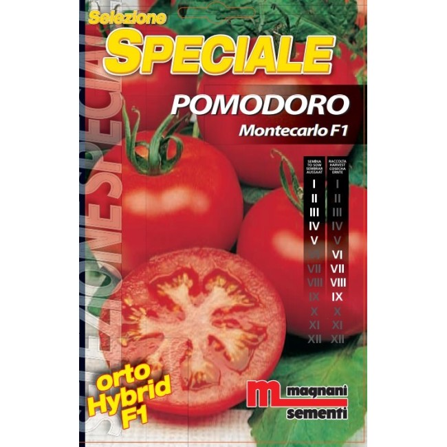 Semi di Pomodoro Montecarlo