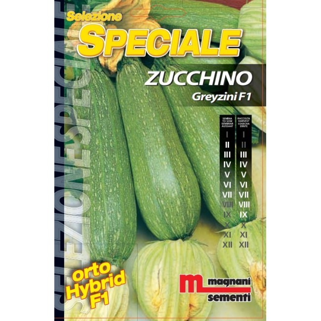 Semi di Zucchino Greyzini