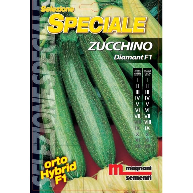 Semi di Zucchino Diamant