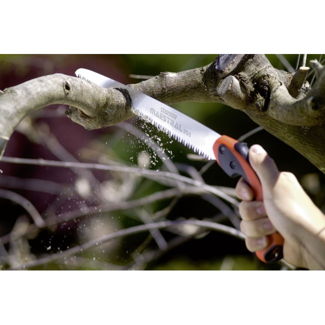 Seghetto Hobby 250 STOCKER