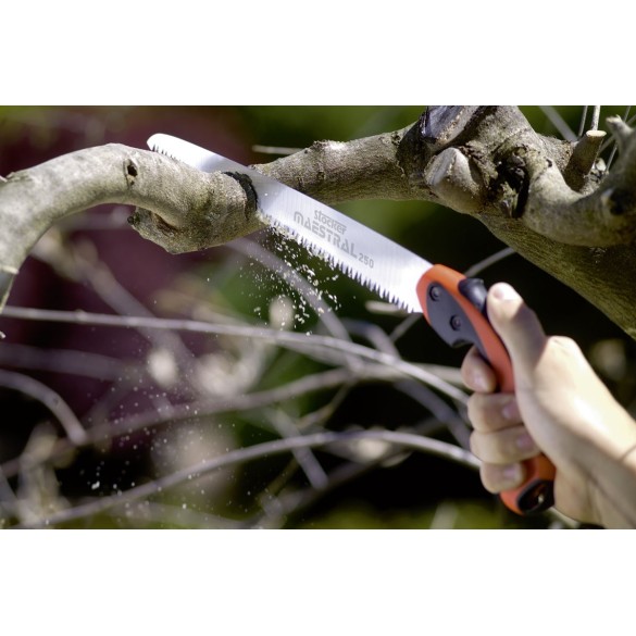 Seghetto Hobby 250 STOCKER