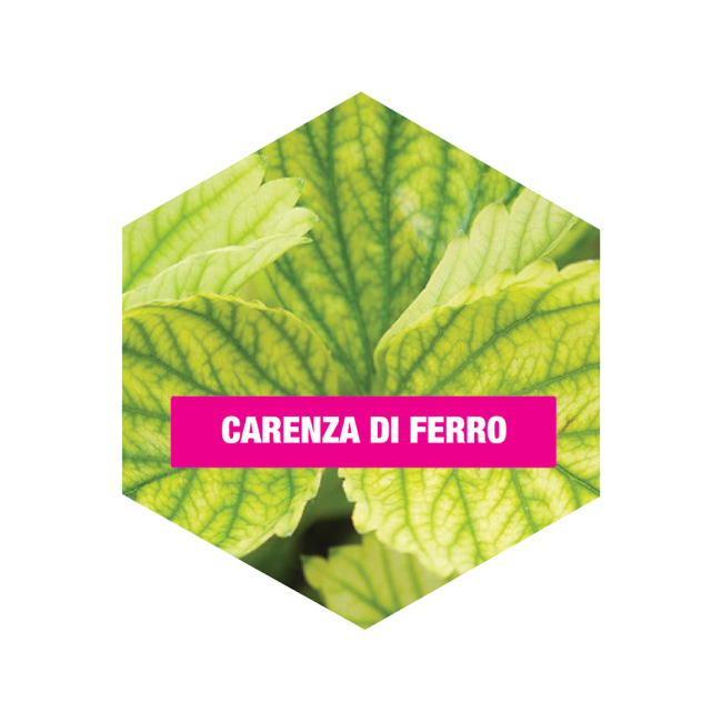 Concime BIO Alt Microcarenze Flortis 100 gr