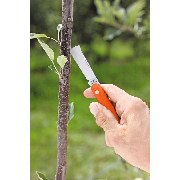 Coltello da Innesto 55 mm STOCKER