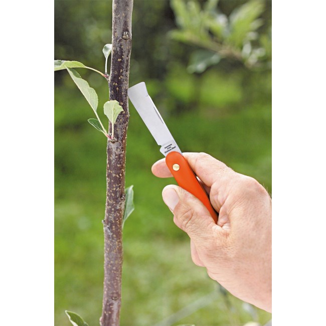 Coltello da Innesto 50 mm STOCKER