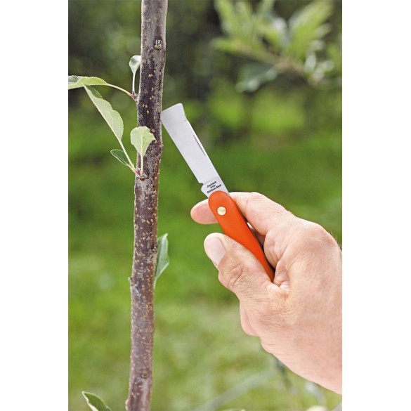 Coltello da Innesto 50 mm STOCKER
