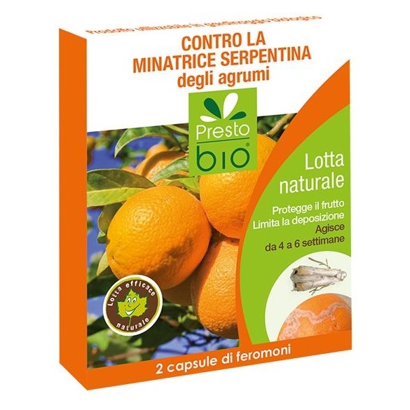 Feromone contro Minatrice degli Agrumi Ueber