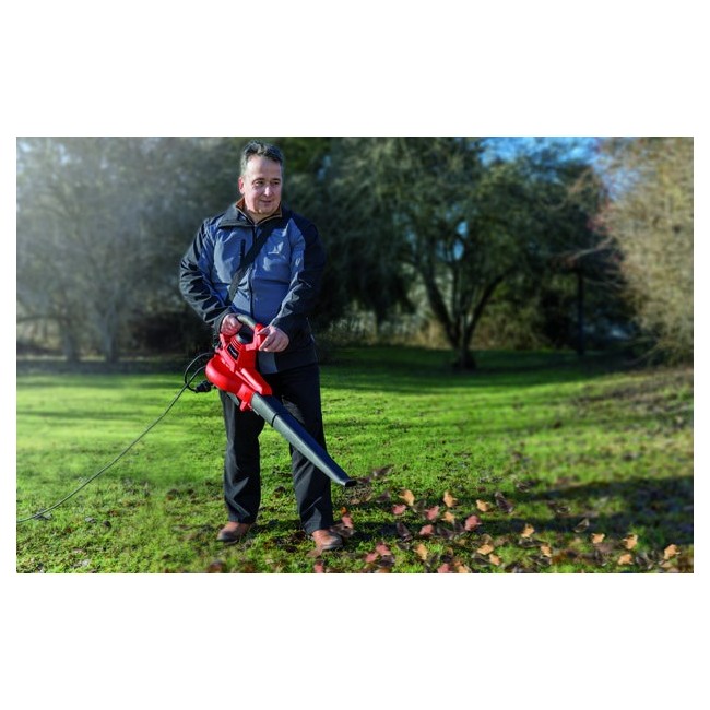 Soffiatore Elettrico GL-EL 3000E Einhell