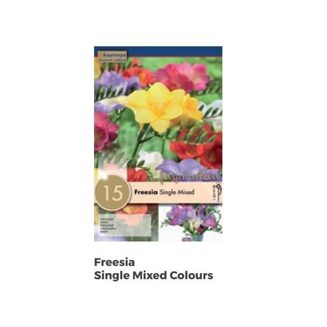 Bulbi Autunnali di Freesia Single Mixed Colours confezione da 15 pz