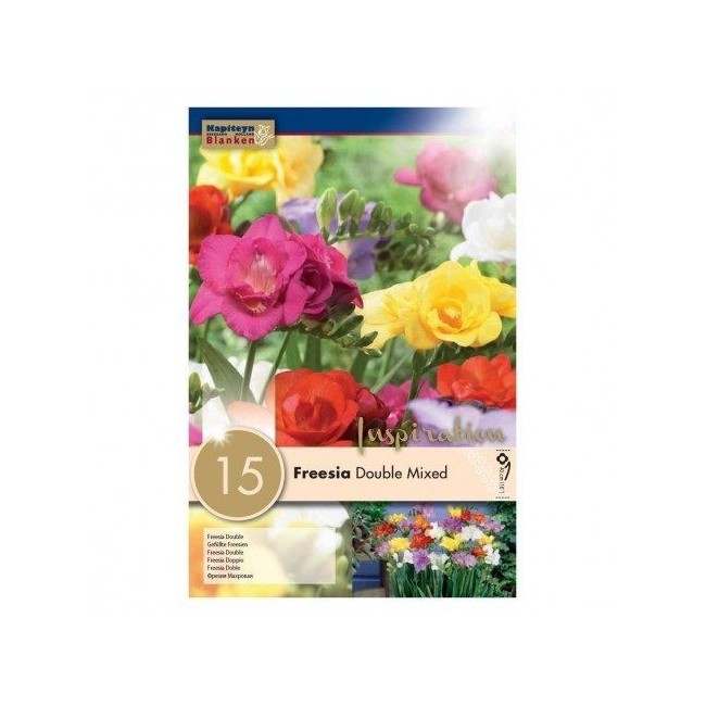 Bulbi di Freesia Double Mix confezione da 15 pz