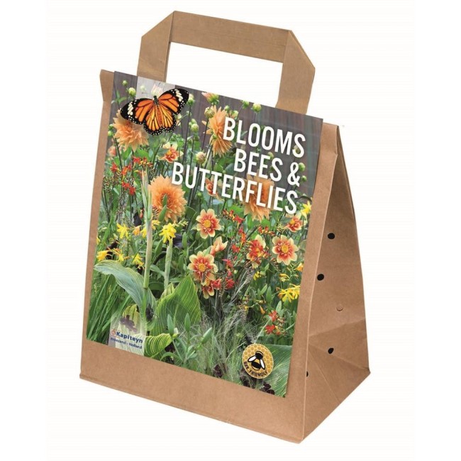 Fiori delle Farfalle Salmone&Arancio 30 pz