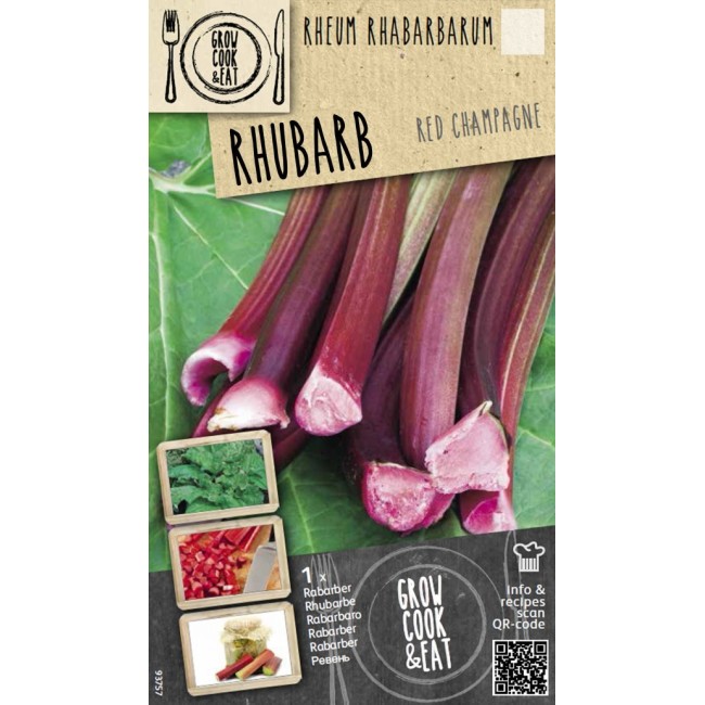 Bulbo di Rhubarb Champagne