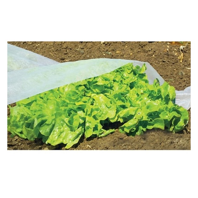 Telo Ortoclima 1,6x5 mt