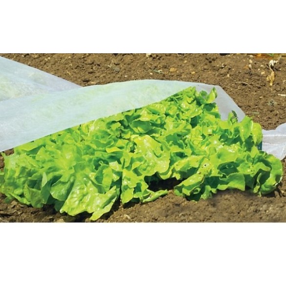 Telo Ortoclima 1,6x5 mt