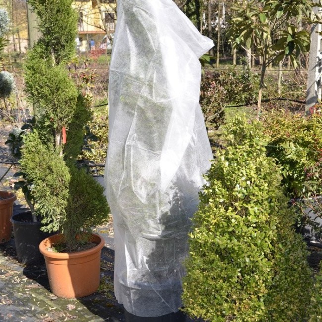 Telo Cappuccio TNT Bianco 1,6x2 mt 30 gr Verdelook