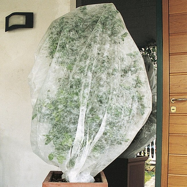 Telo Cappuccio TNT Bianco 1,5x1,8 mt 17 gr Confezione 3 pz Verdelook