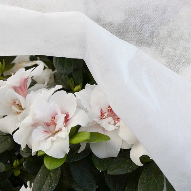 Telo Ortoclima Bianco 2,4x10 mt Verdelook