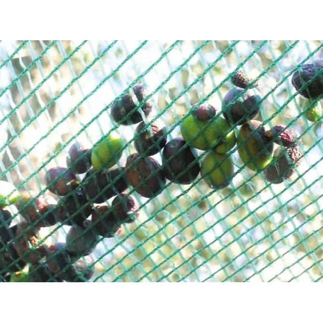 Rete per Olive con Occhielli 10x10 mt TENAX