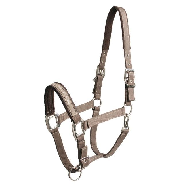 Cavezza Memphis SCHOCKEMOHLE