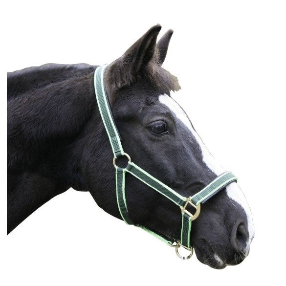 Cavezza Exclusive KERBL