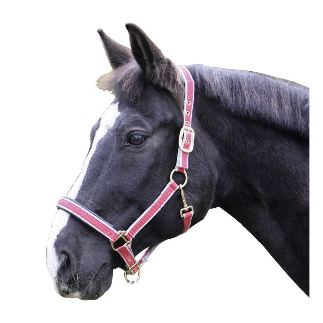 Cavezza Exclusive KERBL