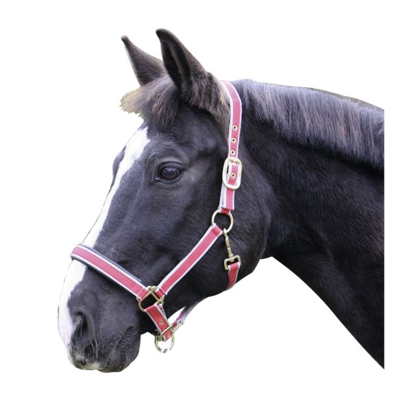 Cavezza Exclusive KERBL