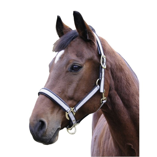 Cavezza Exclusive KERBL