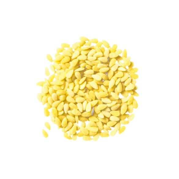 Seme di Melone n. 72 Divella 500 gr