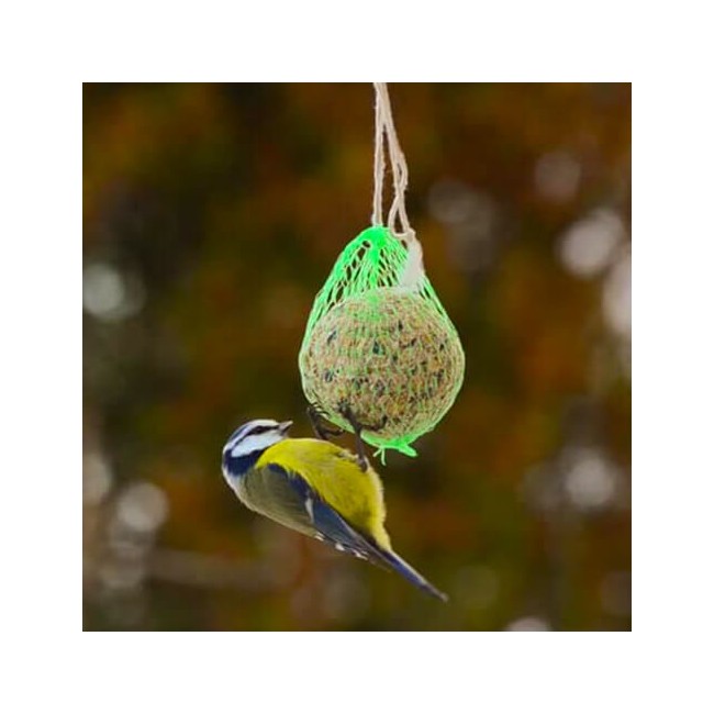 5 Confezioni da 6 Palle di Grasso per Uccelli Selvatici