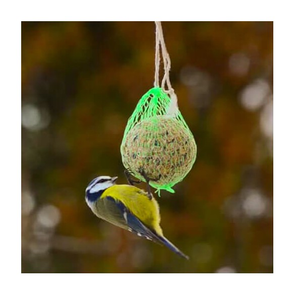 Palla di Grasso da 90 gr per Uccelli Selvatici