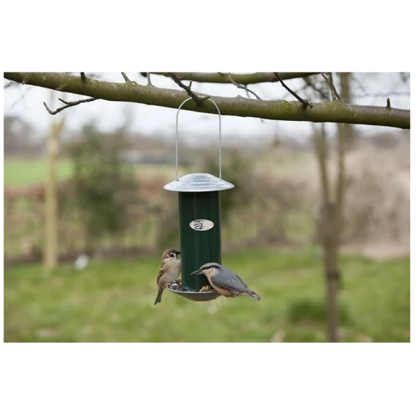 Mangiatoia Semi in Metallo per Uccelli Selvatici Bavicchi