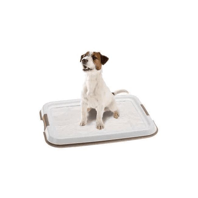 Portapannoloni per Cani