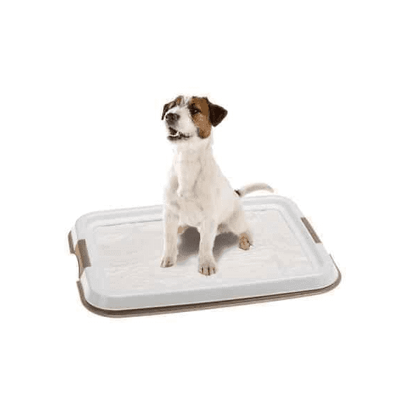 Portapannoloni per Cani