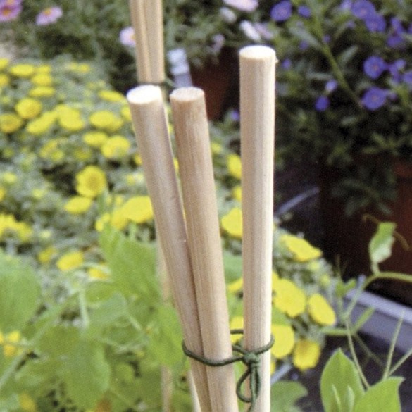 Flower Stick Bastoncini di Bambu' Naturale H50 cm Verdelook