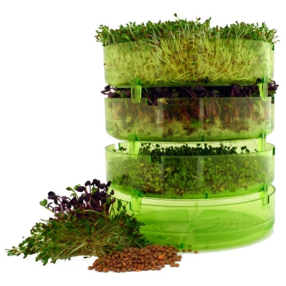 Germogliatore Geo Plus BAVICCHI