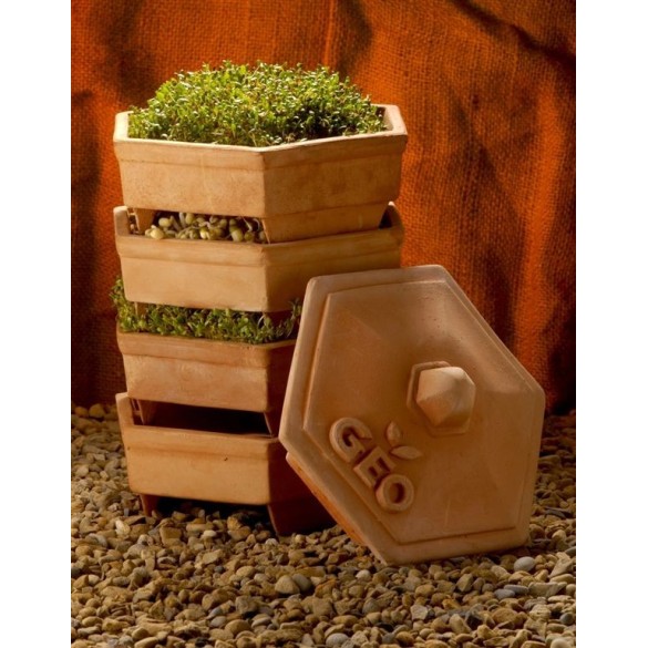 Germogliatore Geo Terradisiena BAVICCHI