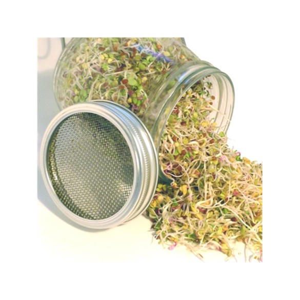 Barattolo Germogliatore Geo BAVICCHI