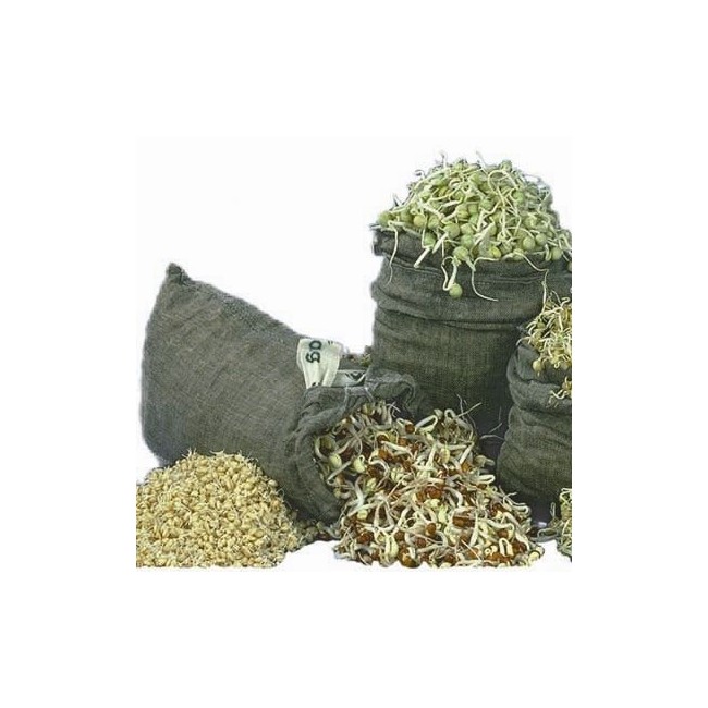 Sacchetto Germogliatore Sprout Bag BAVICCHI